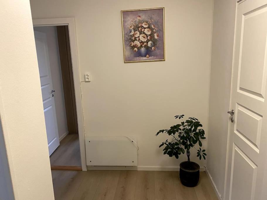Lovely 2 Bedroom Apartmen With Free Parking เบอร์เกน ภายนอก รูปภาพ